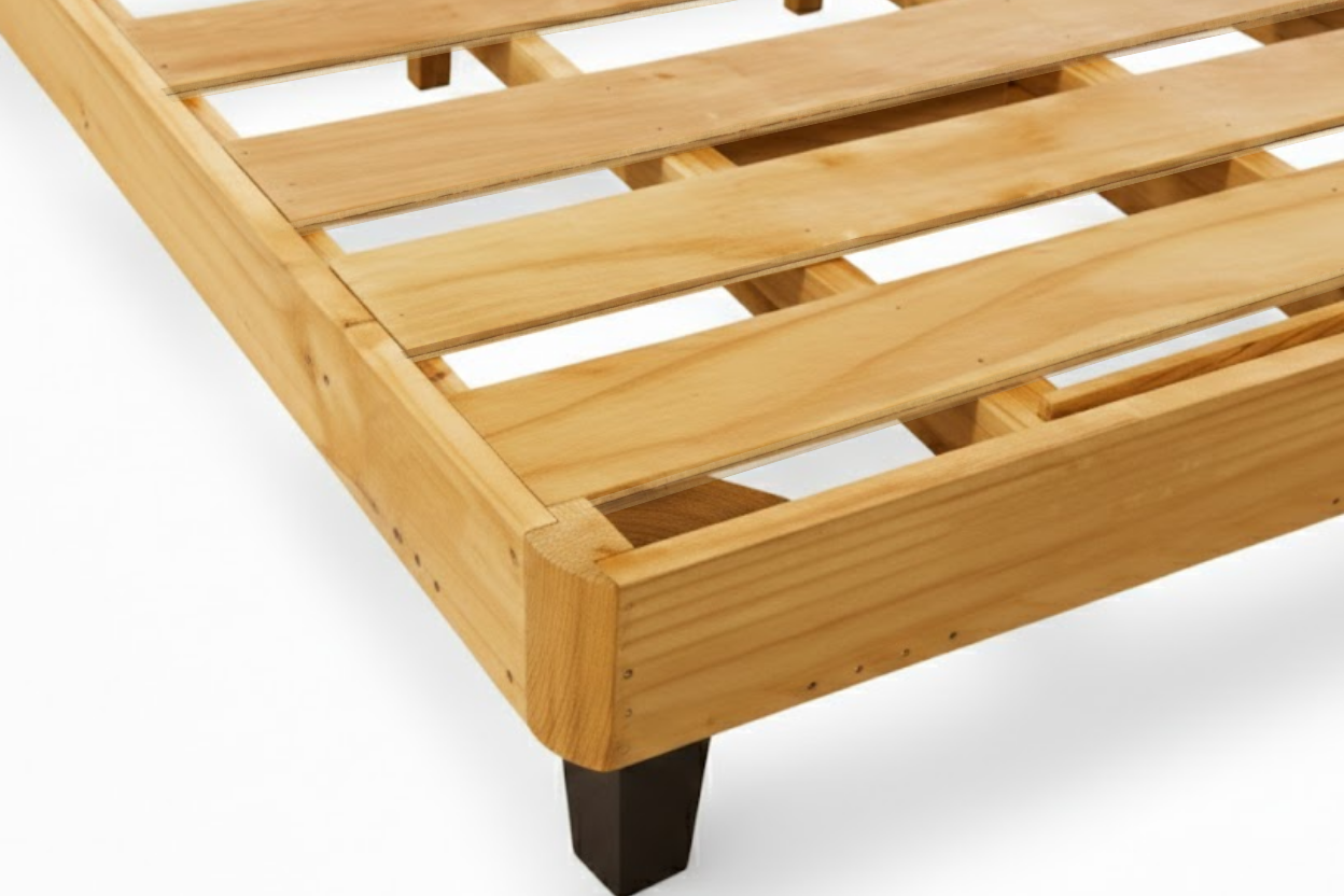 Disen?o sin ti?tulo (4)