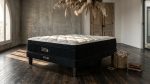 Cama Cisne Black