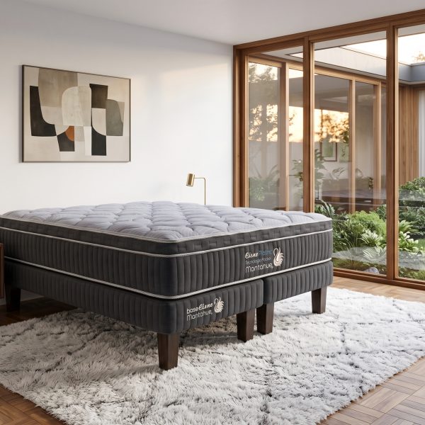 Cama Cisne Platino