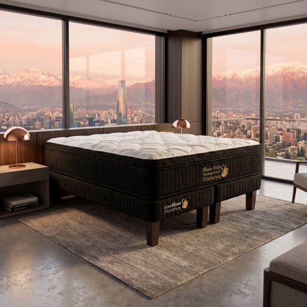 Cama Cisne Black